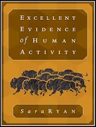 Excellent Evidence of Human Activity